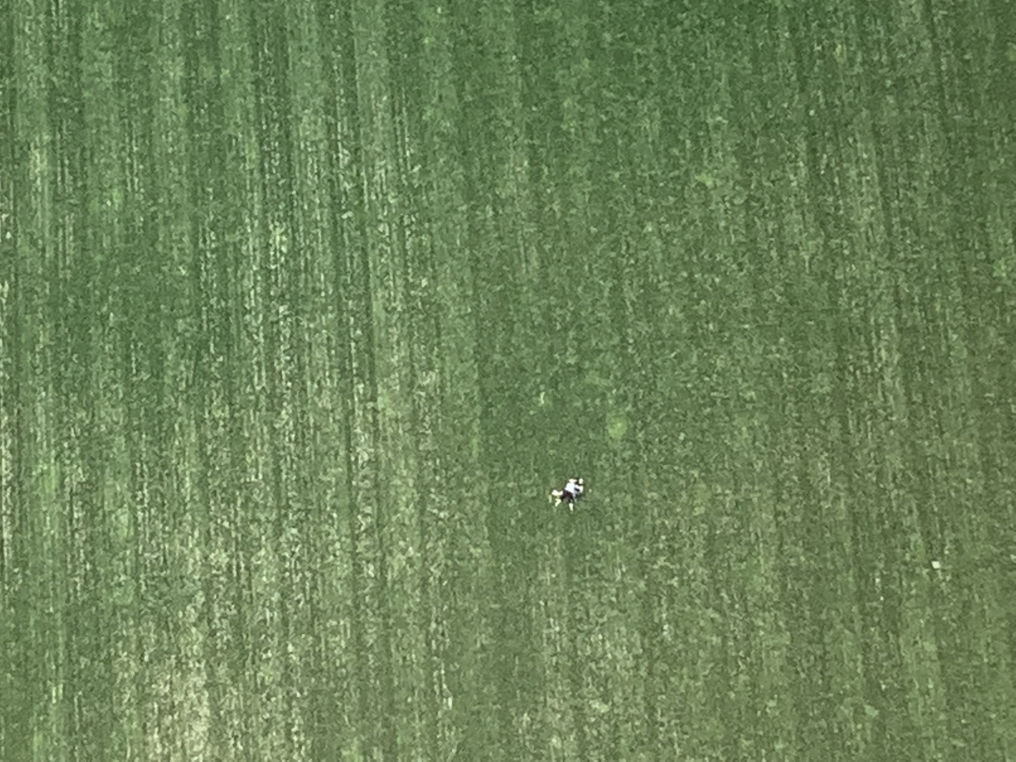 ./2022/06 - St Louis/04 - Day 4/20220524-161116517.JPG